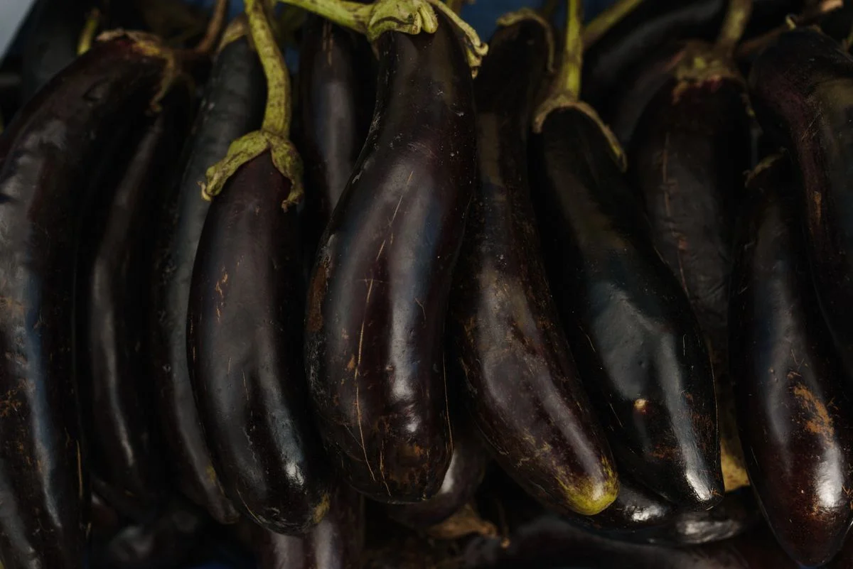 Brinjal (Eggplant)